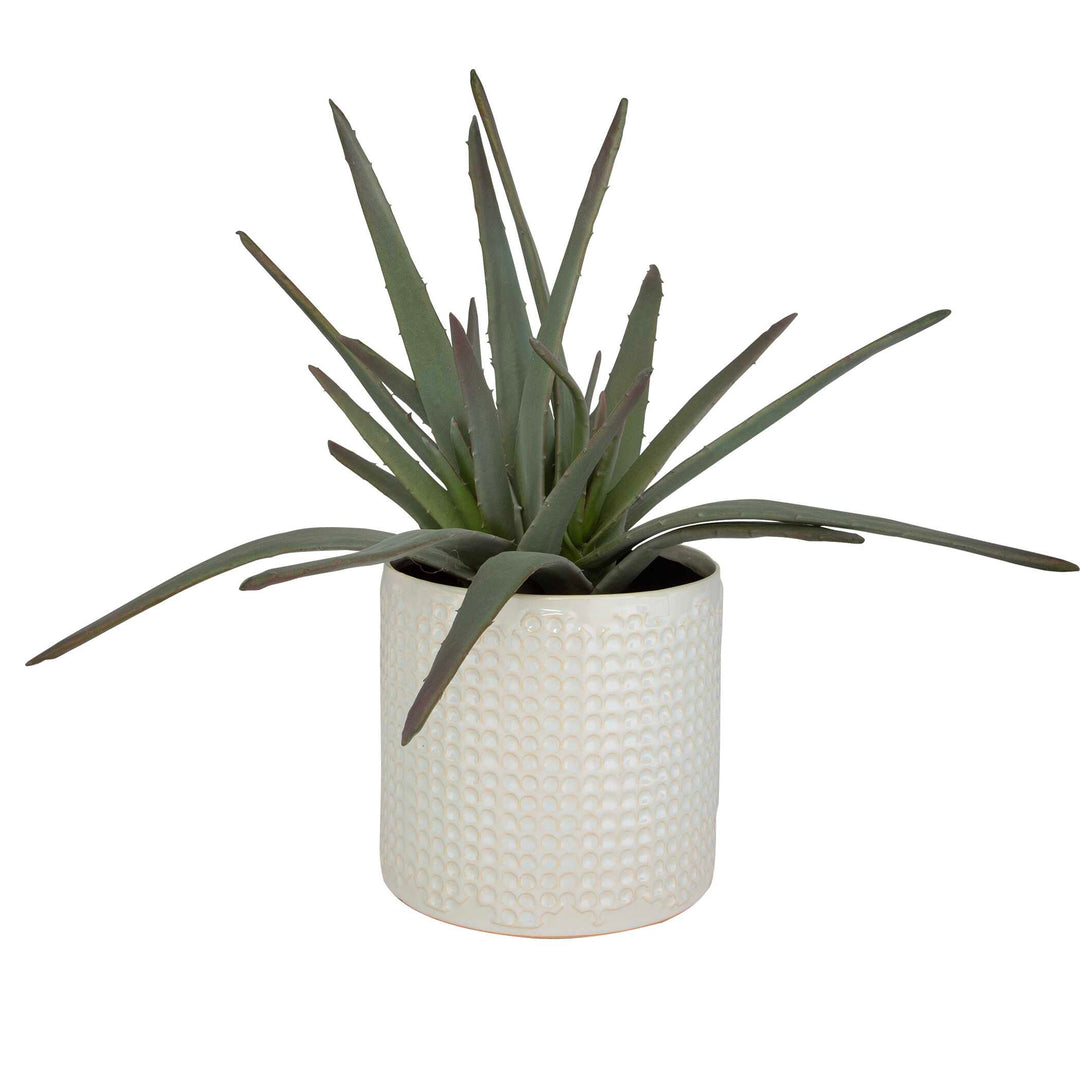 American Home Furniture Uttermost Taos Aloe Centerpiece