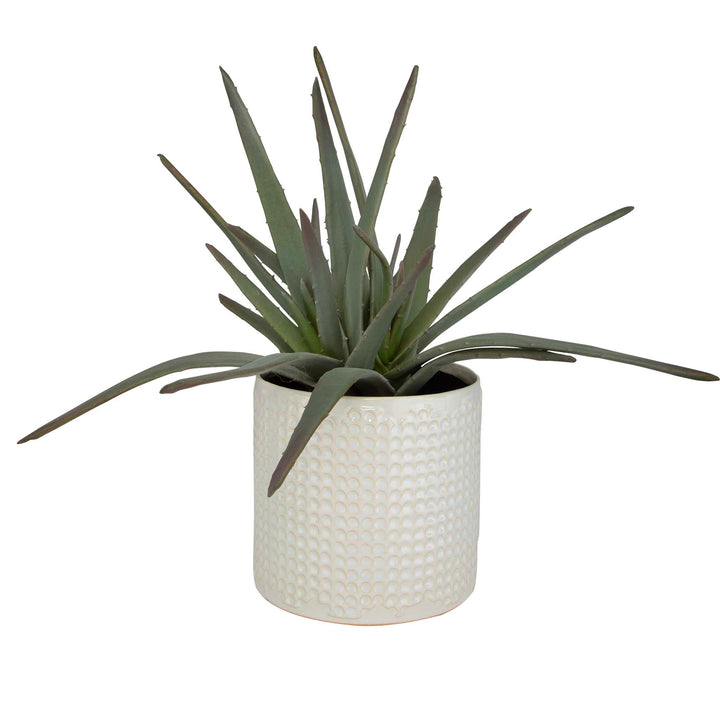 American Home Furniture Uttermost Taos Aloe Centerpiece