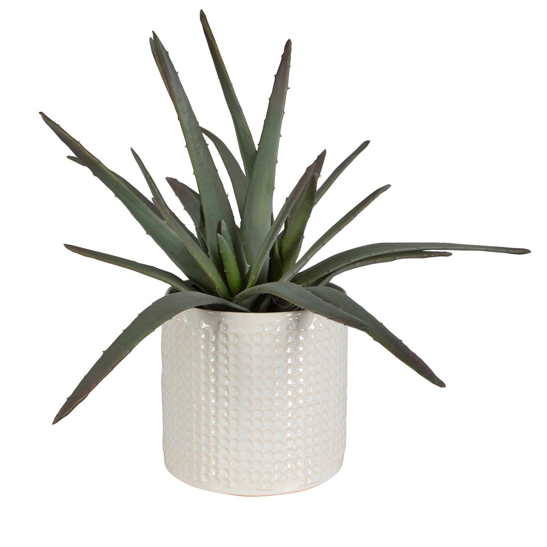 American Home Furniture Uttermost Taos Aloe Centerpiece