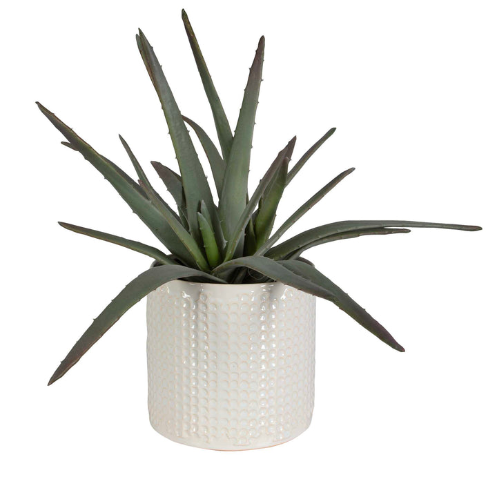 American Home Furniture Uttermost Taos Aloe Centerpiece