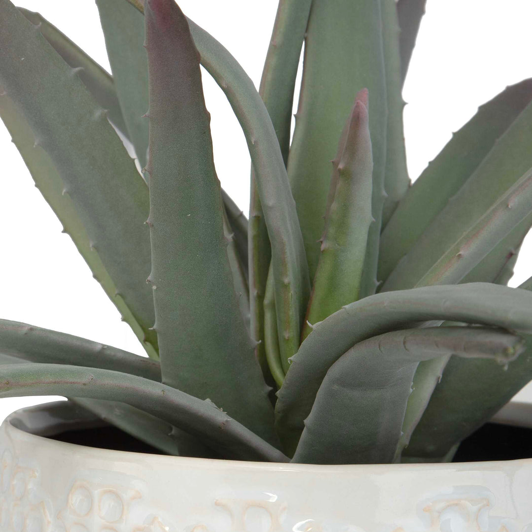 American Home Furniture Uttermost Taos Aloe Centerpiece