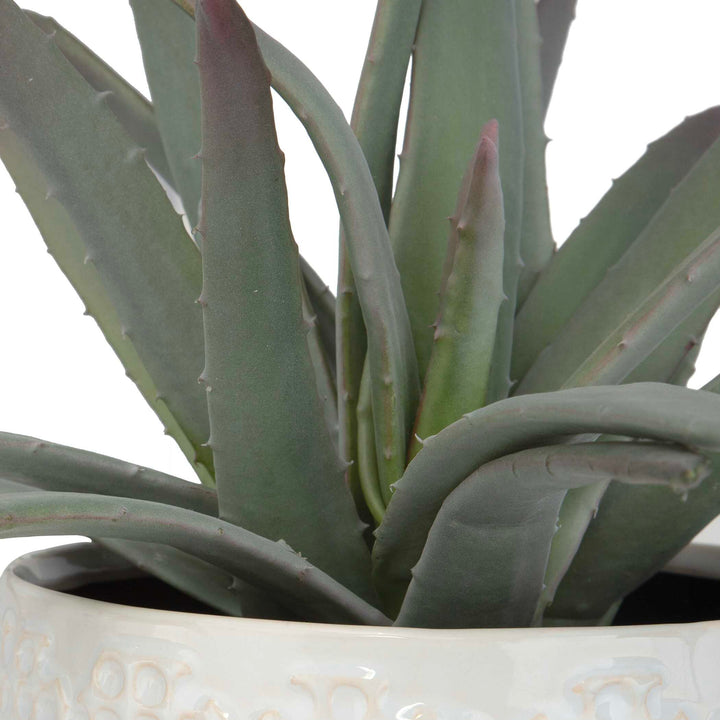 American Home Furniture Uttermost Taos Aloe Centerpiece