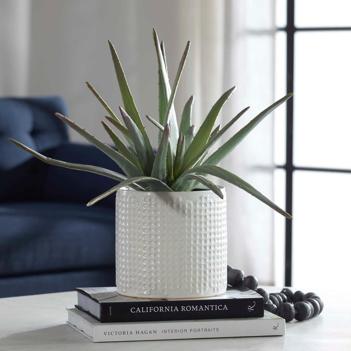 American Home Furniture Uttermost Taos Aloe Centerpiece