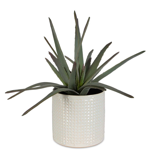 American Home Furniture Uttermost Taos Aloe Centerpiece