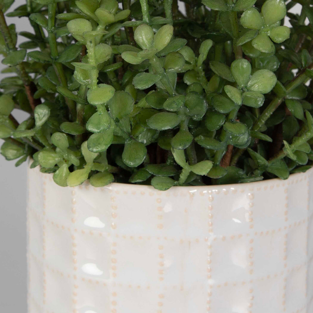 American Home Furniture Uttermost Edgewood Greenery Set of 2