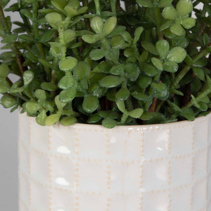 American Home Furniture Uttermost Edgewood Greenery Set of 2
