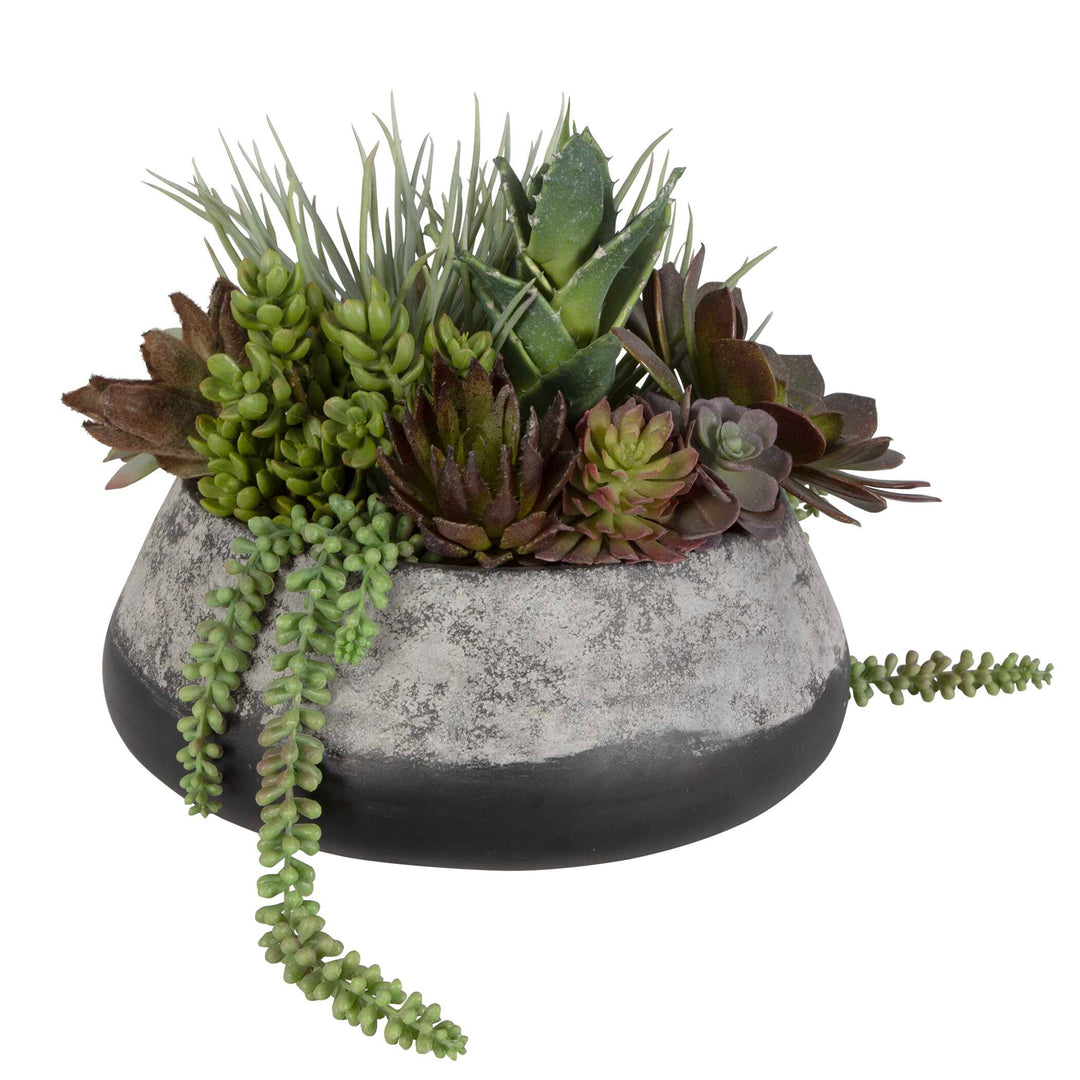 American Home Furniture Uttermost Yuma Succulent Centerpiece Medium