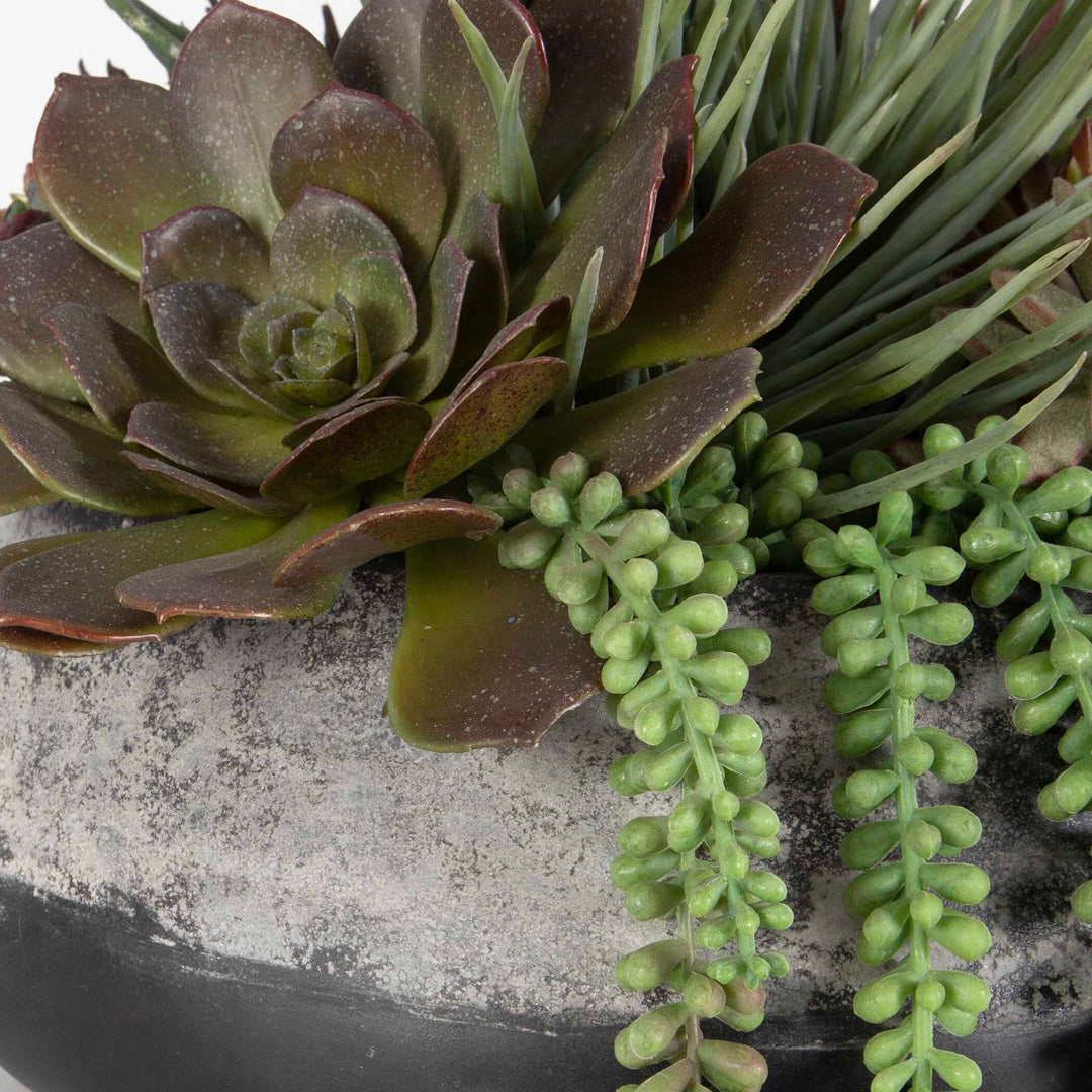 American Home Furniture Uttermost Yuma Succulent Centerpiece Medium