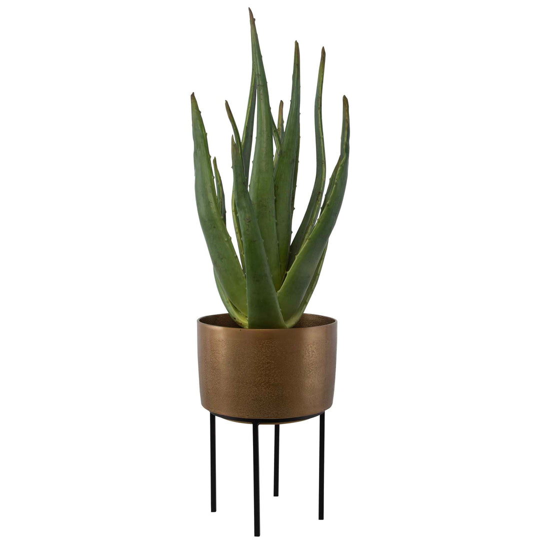 American Home Furniture Uttermost Arabia Aloe Planter