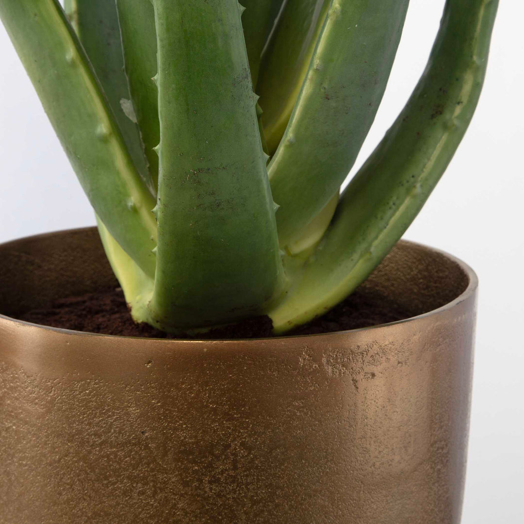 American Home Furniture Uttermost Arabia Aloe Planter