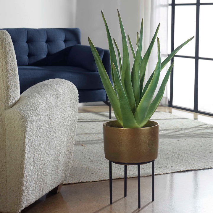 American Home Furniture Uttermost Arabia Aloe Planter