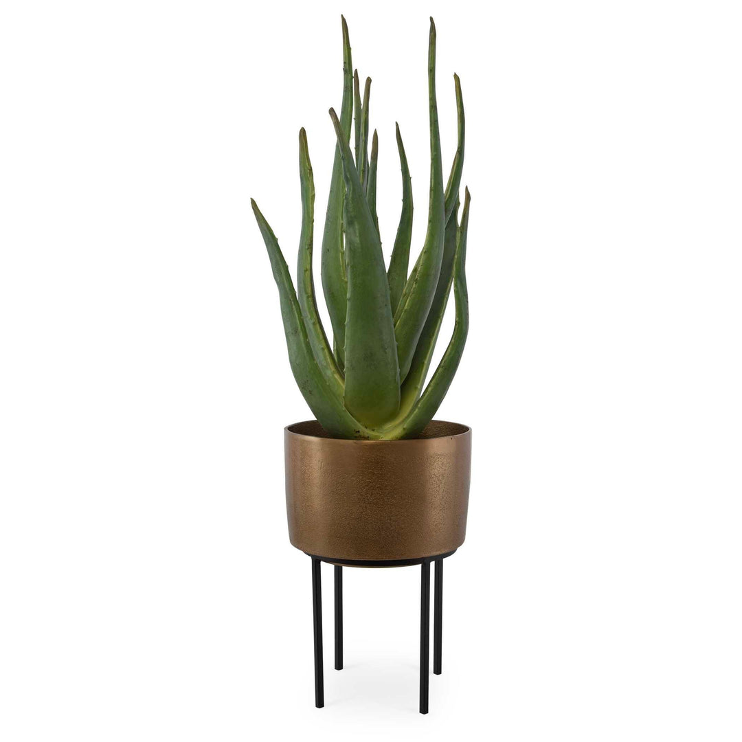 Arabia Aloe Planter - AmericanHomeFurniture