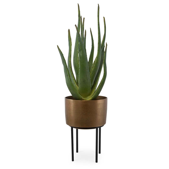 American Home Furniture Uttermost Arabia Aloe Planter