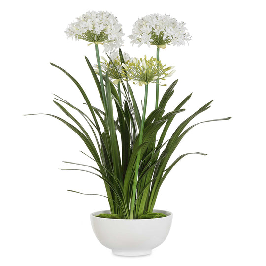 American Home Furniture Uttermost Purity Agapanthus Centerpiece