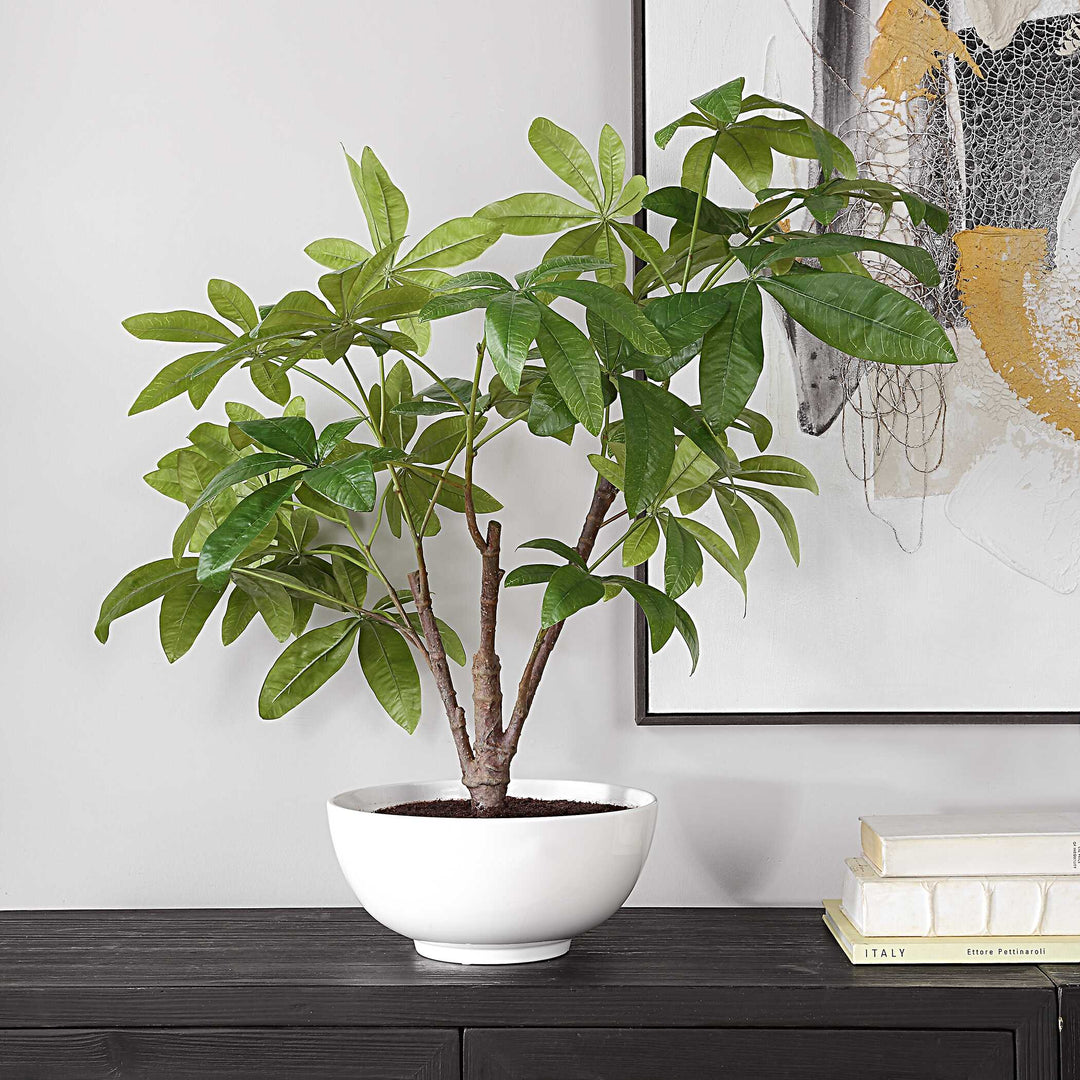 American Home Furniture Uttermost Pachira Money Tree