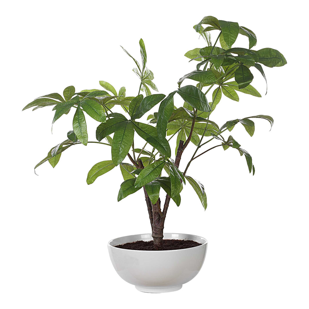 American Home Furniture Uttermost Pachira Money Tree
