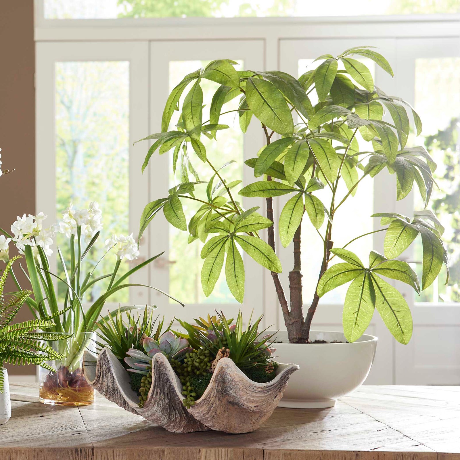 American Home Furniture Uttermost Pachira Money Tree