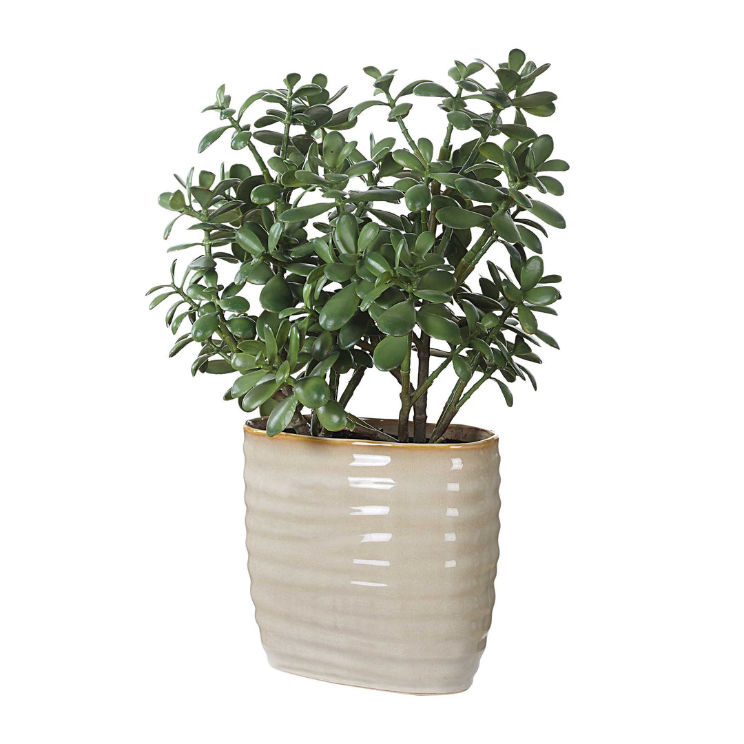 American Home Furniture Uttermost Crassula Jade Accent Plant
