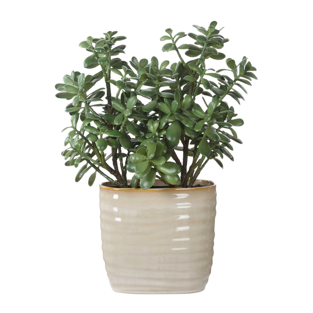 American Home Furniture Uttermost Crassula Jade Accent Plant