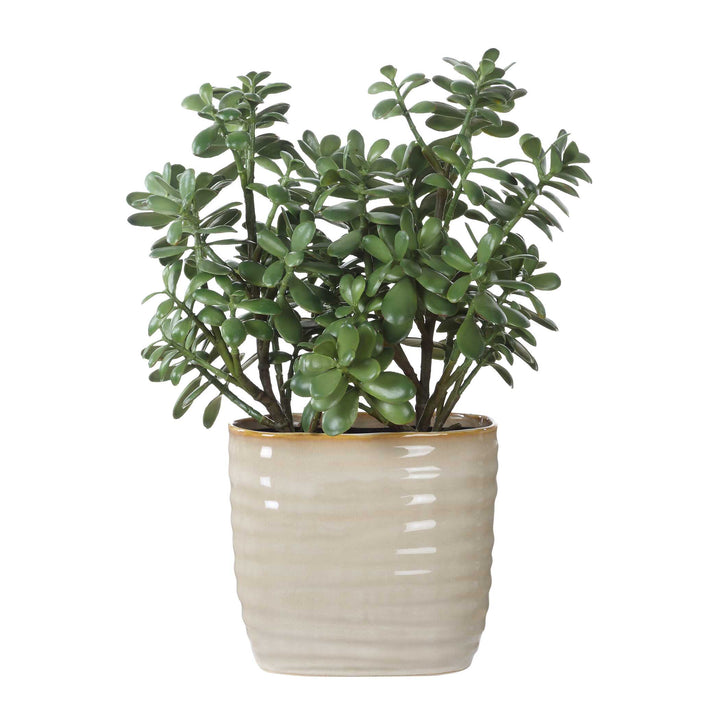 American Home Furniture Uttermost Crassula Jade Accent Plant