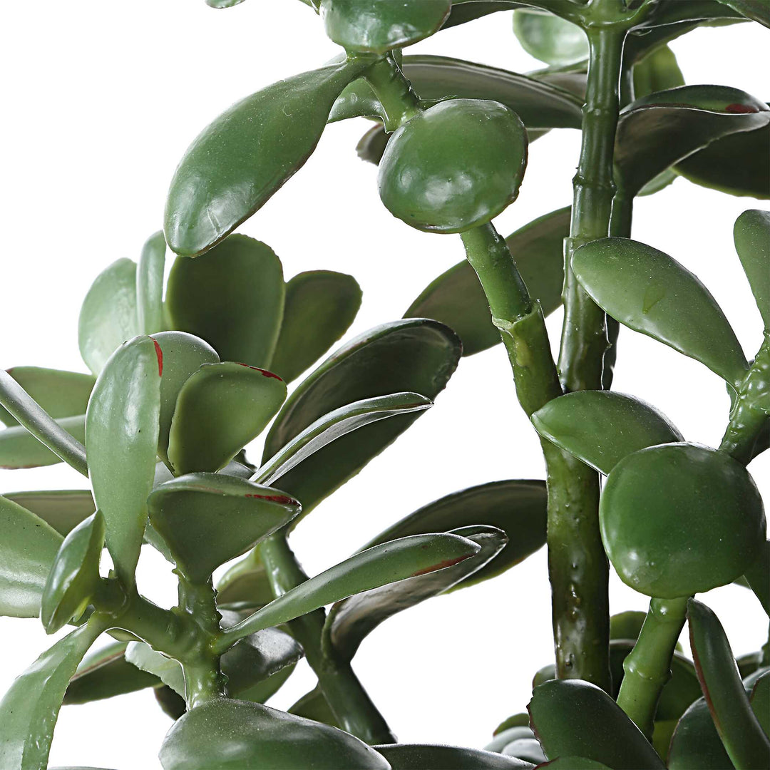 American Home Furniture Uttermost Crassula Jade Accent Plant