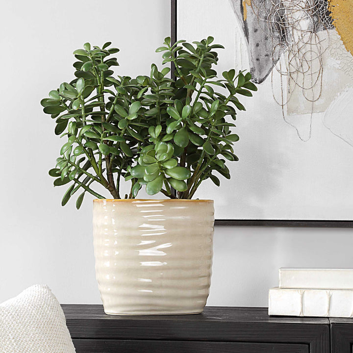 American Home Furniture Uttermost Crassula Jade Accent Plant