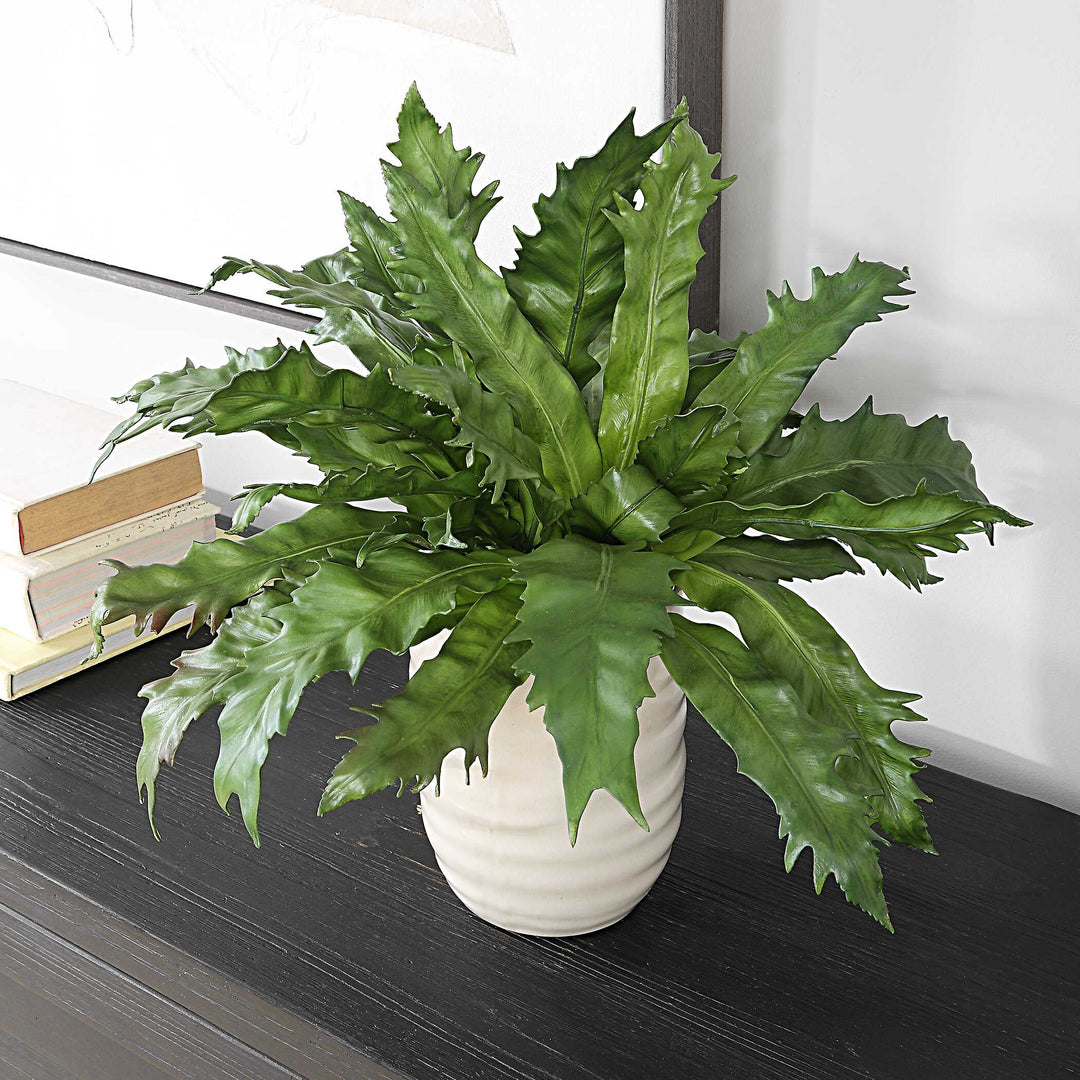 American Home Furniture Uttermost Verdure Fern In Glazed Pot