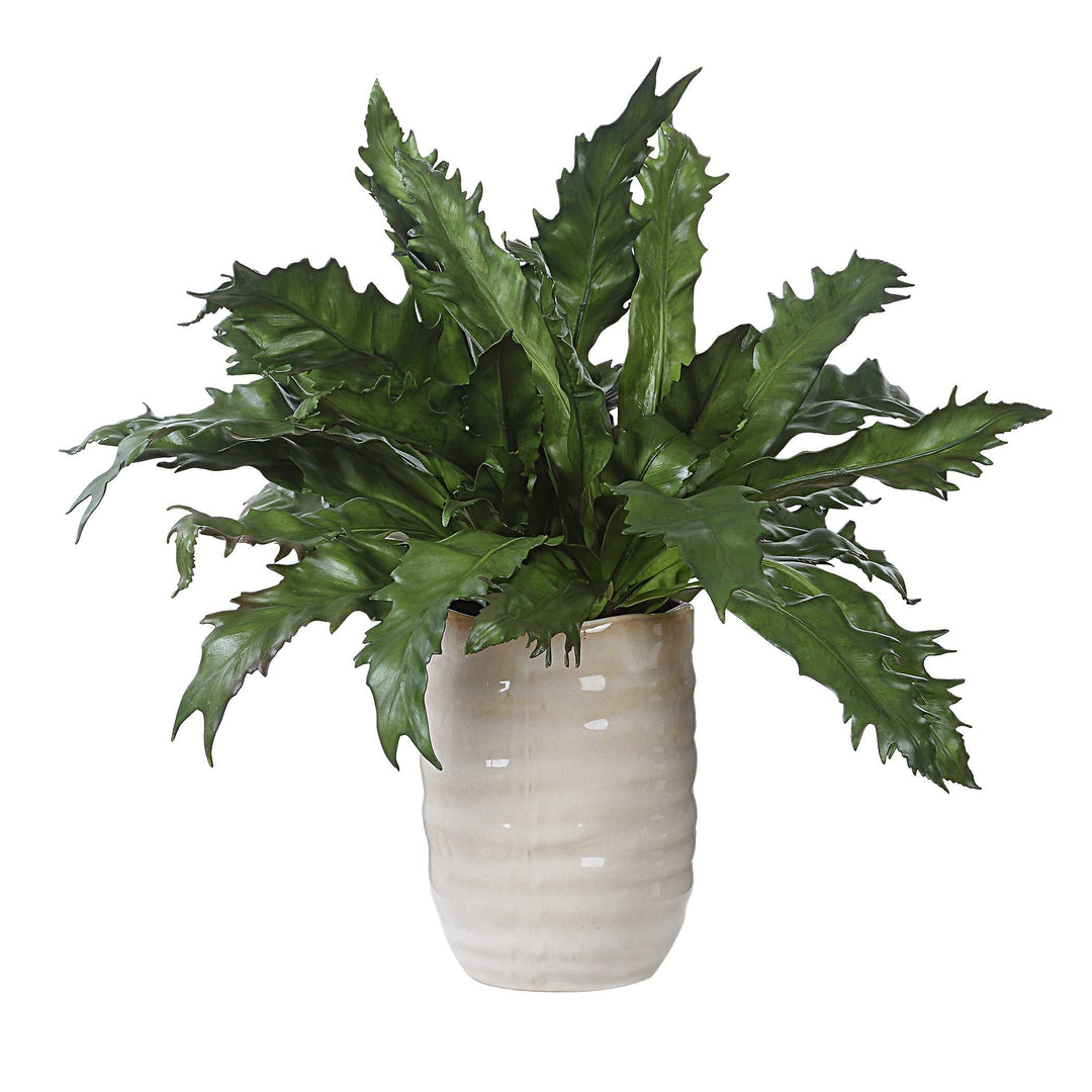 American Home Furniture Uttermost Verdure Fern In Glazed Pot