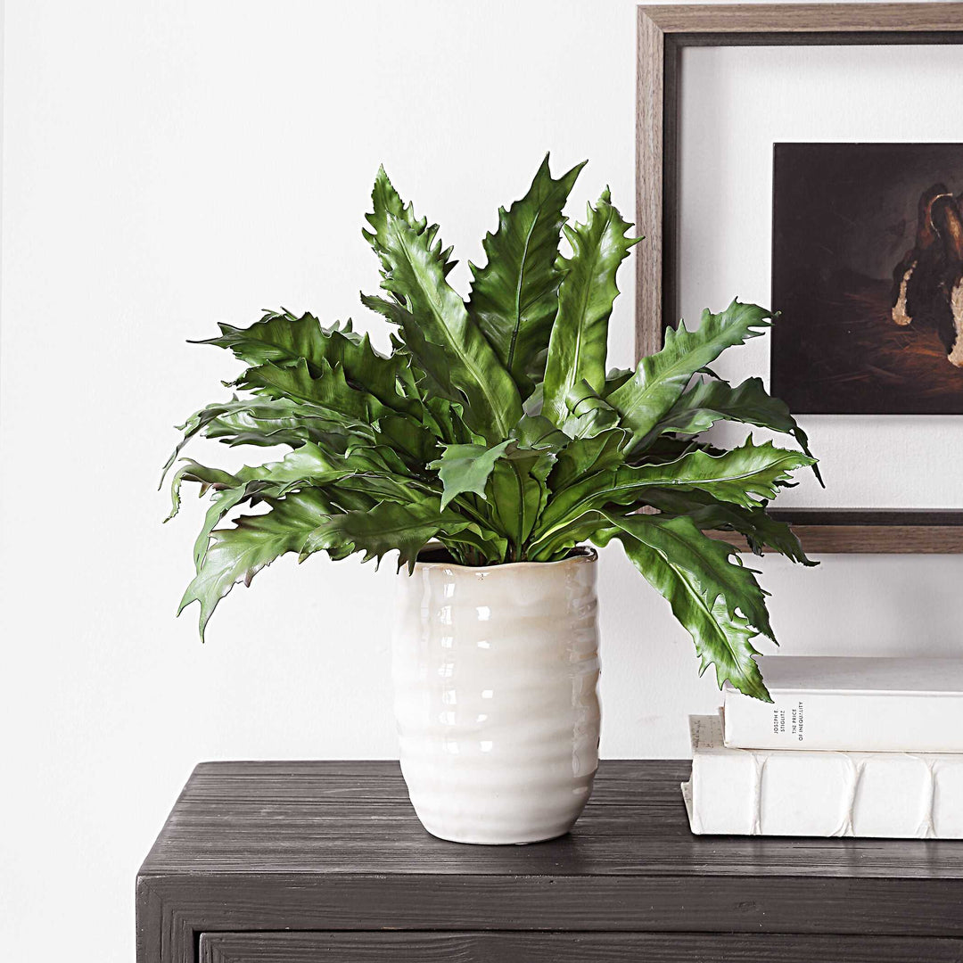 American Home Furniture Uttermost Verdure Fern In Glazed Pot