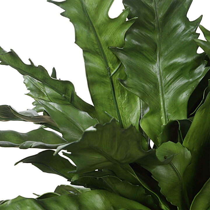 American Home Furniture Uttermost Verdure Fern In Glazed Pot