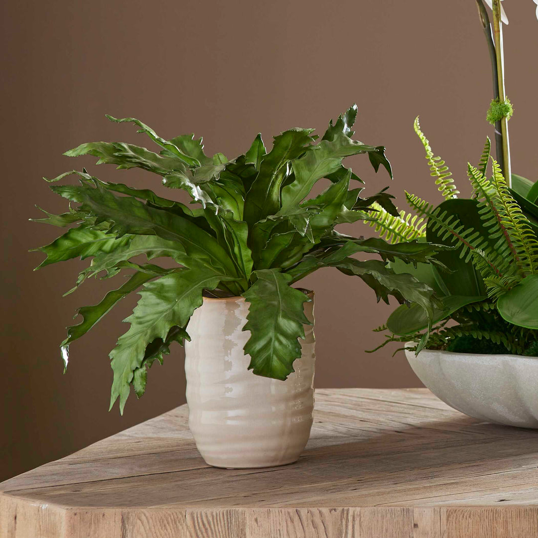 American Home Furniture Uttermost Verdure Fern In Glazed Pot