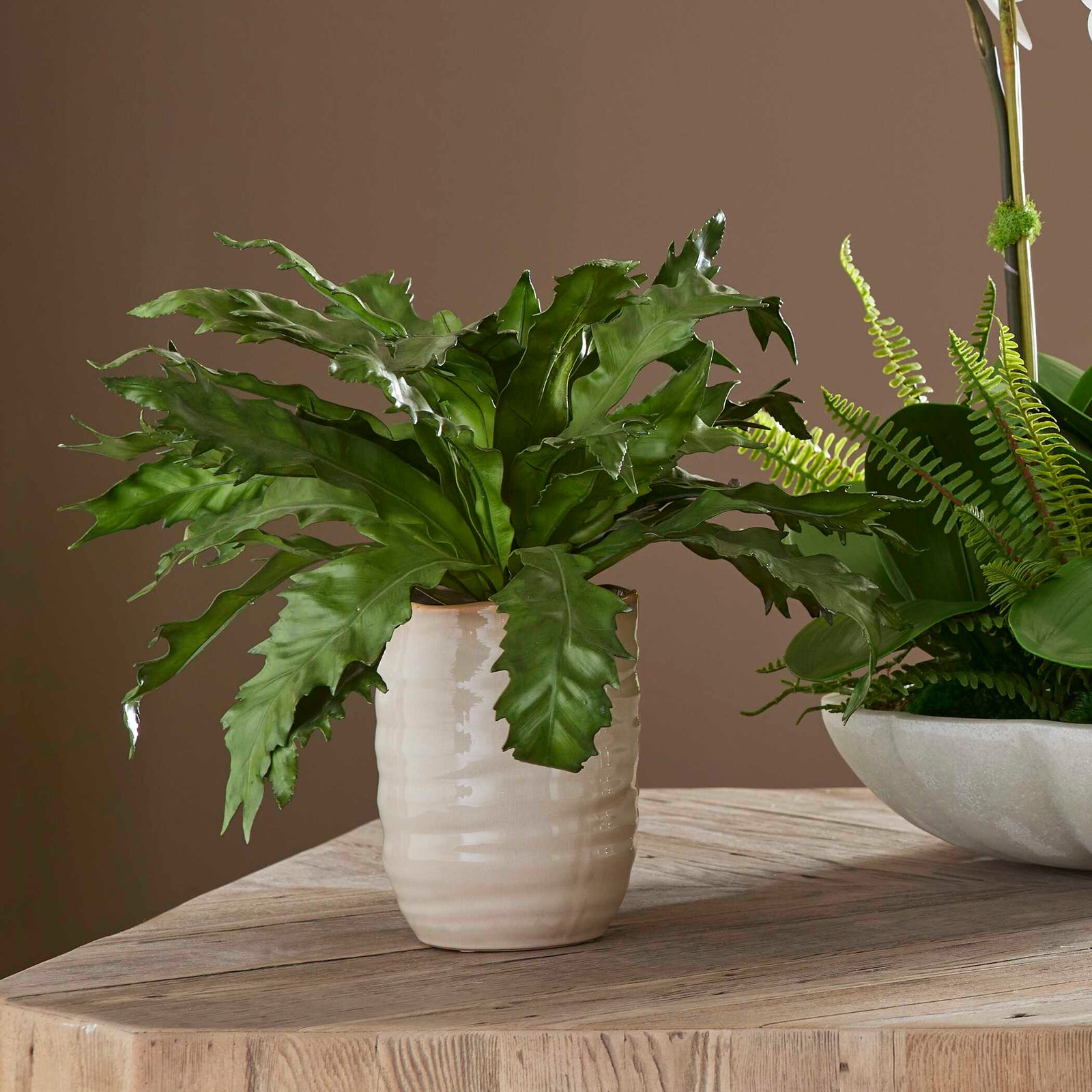 American Home Furniture Uttermost Verdure Fern In Glazed Pot