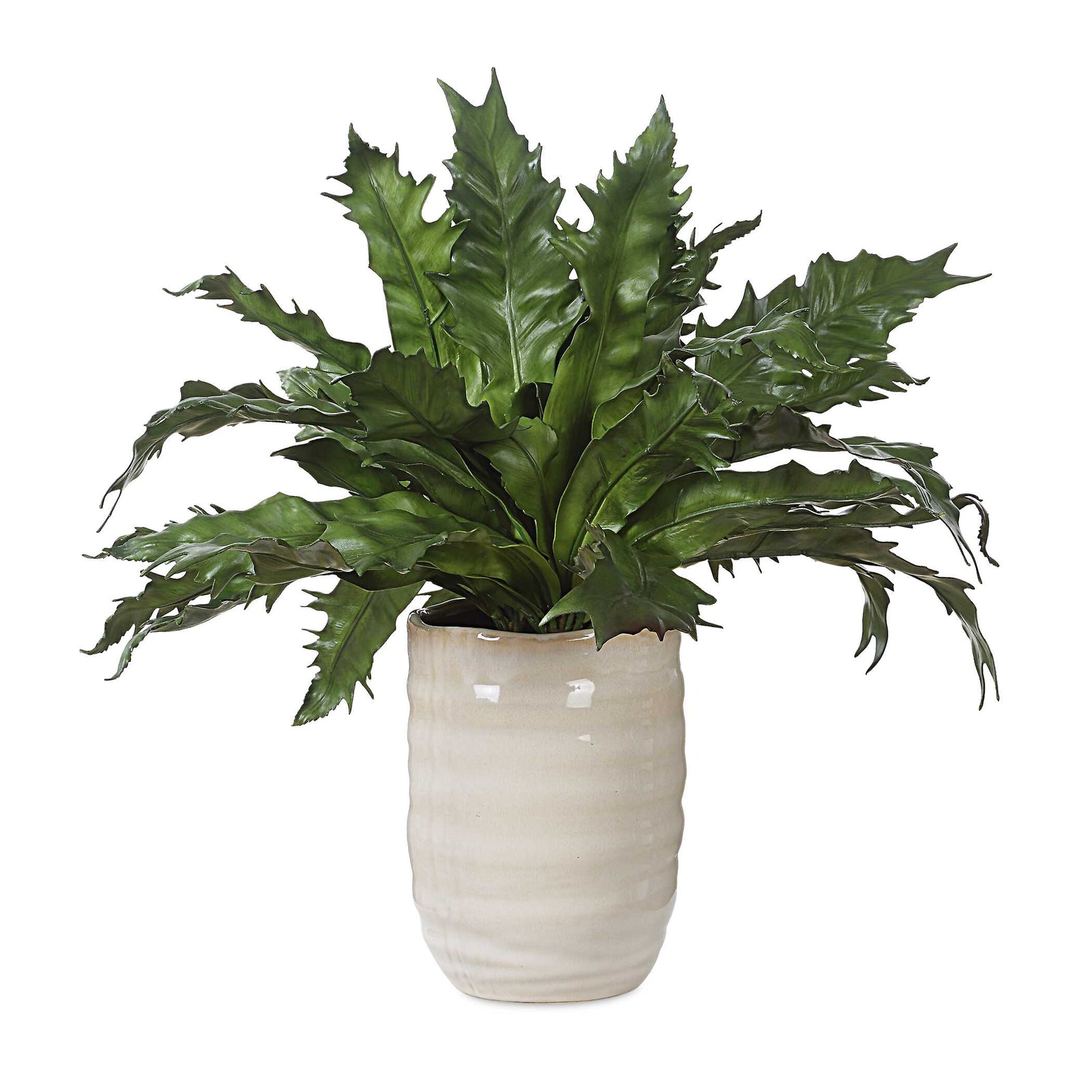 American Home Furniture Uttermost Verdure Fern In Glazed Pot