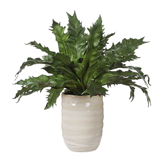 American Home Furniture Uttermost Verdure Fern In Glazed Pot