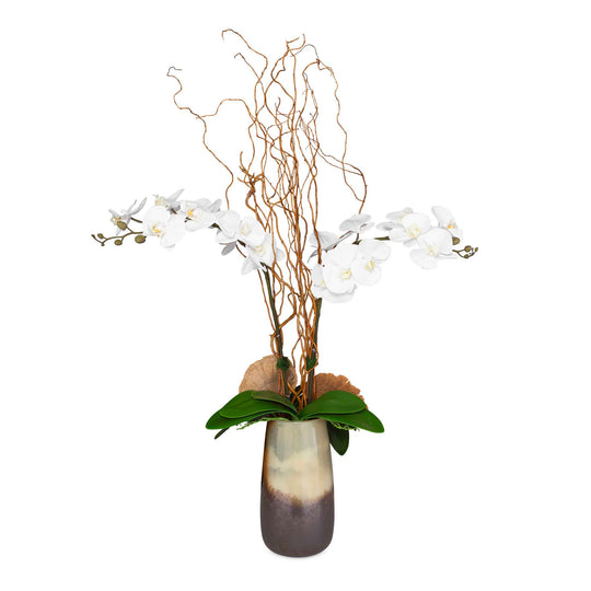 American Home Furniture Uttermost Earthbound Orchid With Vase