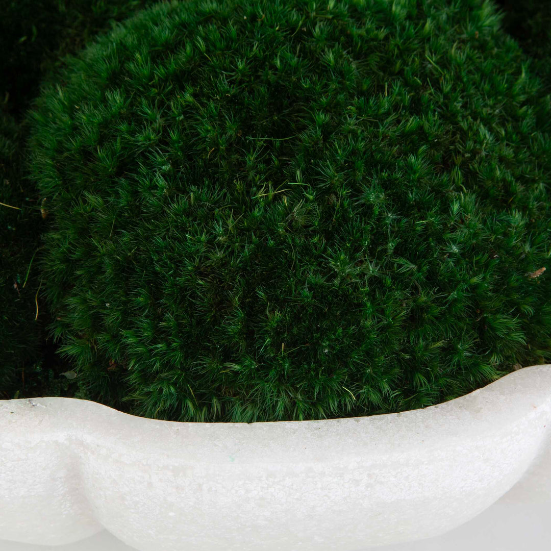 American Home Furniture Uttermost Awaken Moss Centerpiece