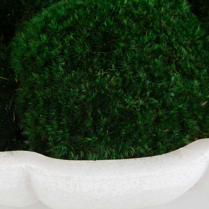 American Home Furniture Uttermost Awaken Moss Centerpiece