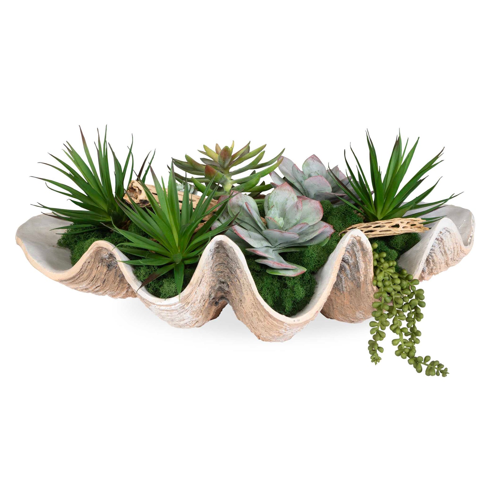 American Home Furniture Uttermost Seaside Breeze Succulents