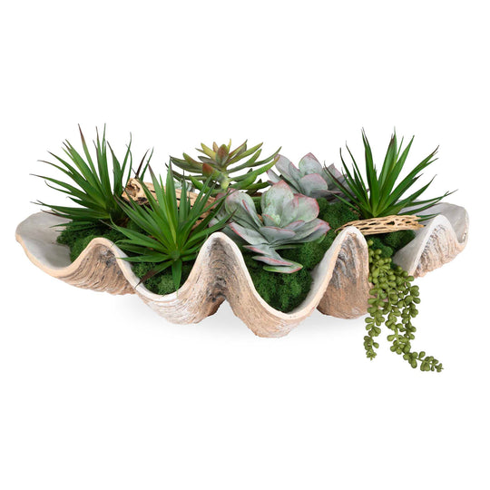 American Home Furniture Uttermost Seaside Breeze Succulents