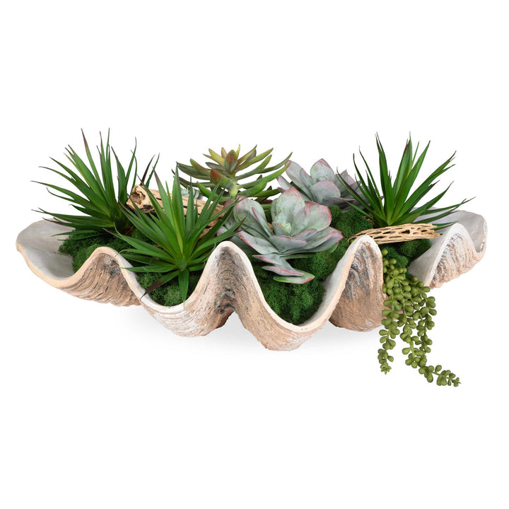 American Home Furniture Uttermost Seaside Breeze Succulents