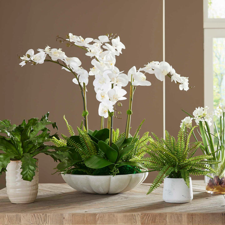 American Home Furniture Uttermost Flourish Orchid Centerpiece
