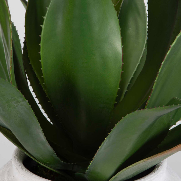 American Home Furniture Uttermost Tierra Agave Centerpiece With Vase