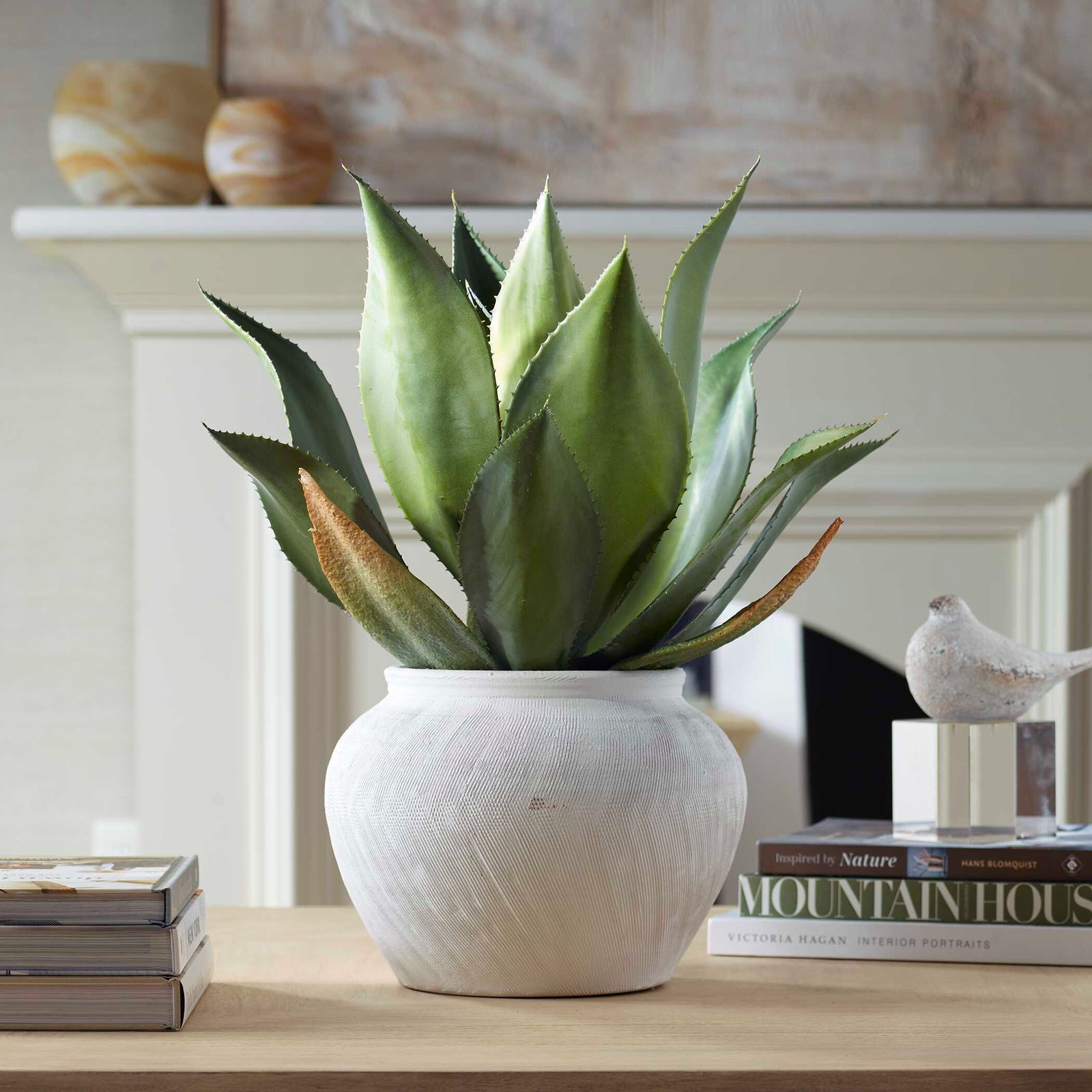 American Home Furniture Uttermost Tierra Agave Centerpiece With Vase