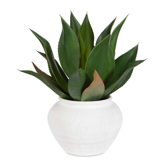 American Home Furniture Uttermost Tierra Agave Centerpiece With Vase