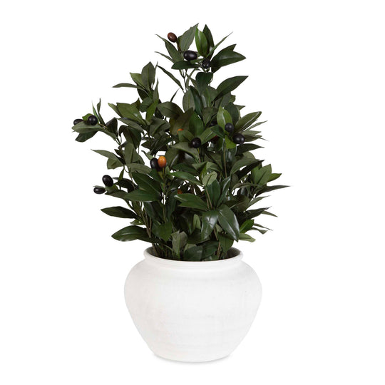 American Home Furniture Uttermost Elena Olive Centerpiece