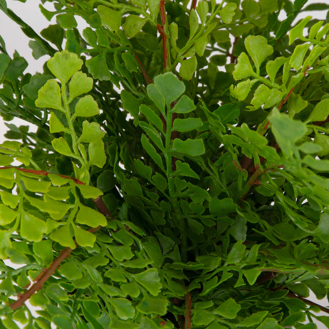 American Home Furniture Uttermost Maidenhair Fern In Oxidized Container