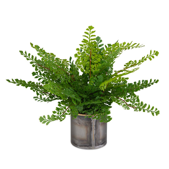 American Home Furniture Uttermost Maidenhair Fern In Oxidized Container