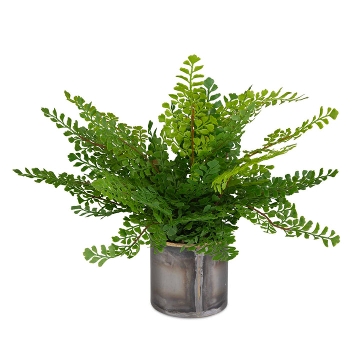 American Home Furniture Uttermost Maidenhair Fern In Oxidized Container