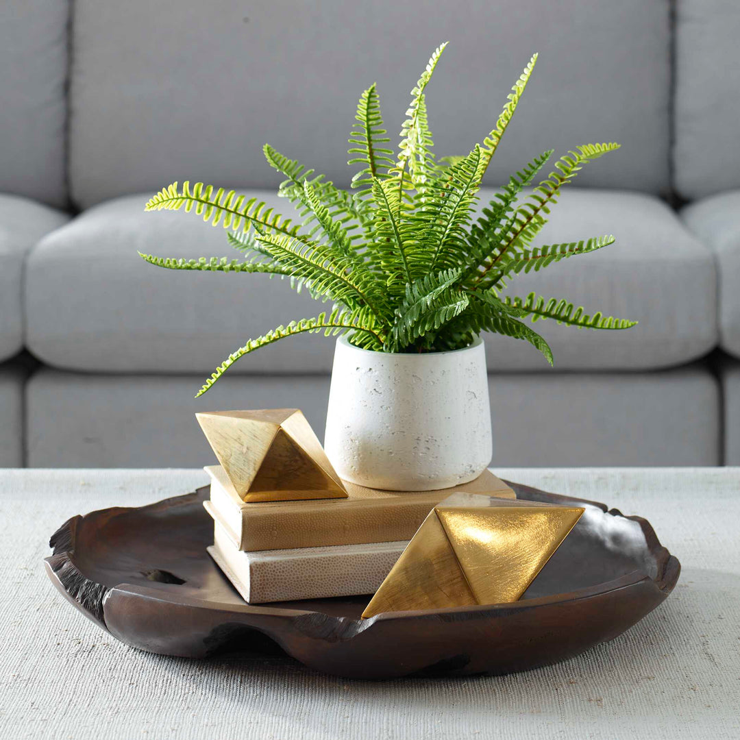 American Home Furniture Uttermost Boston Fern In White Ceramic Pot