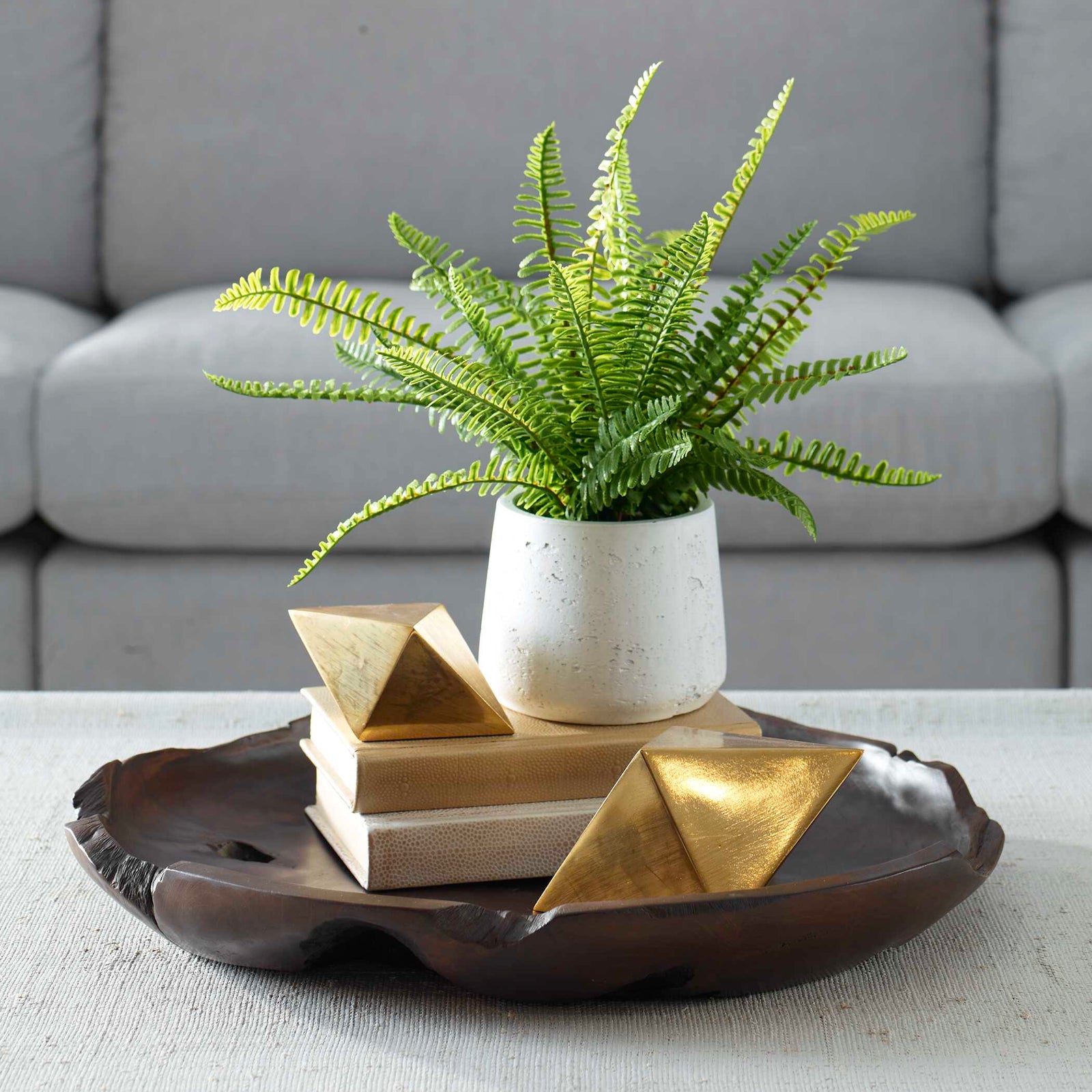 American Home Furniture Uttermost Boston Fern In White Ceramic Pot